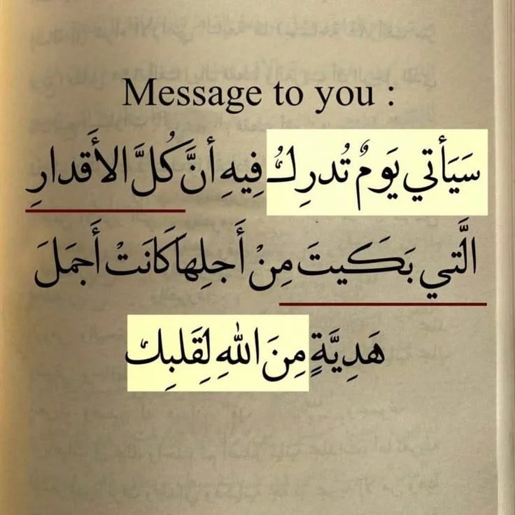 19.webp