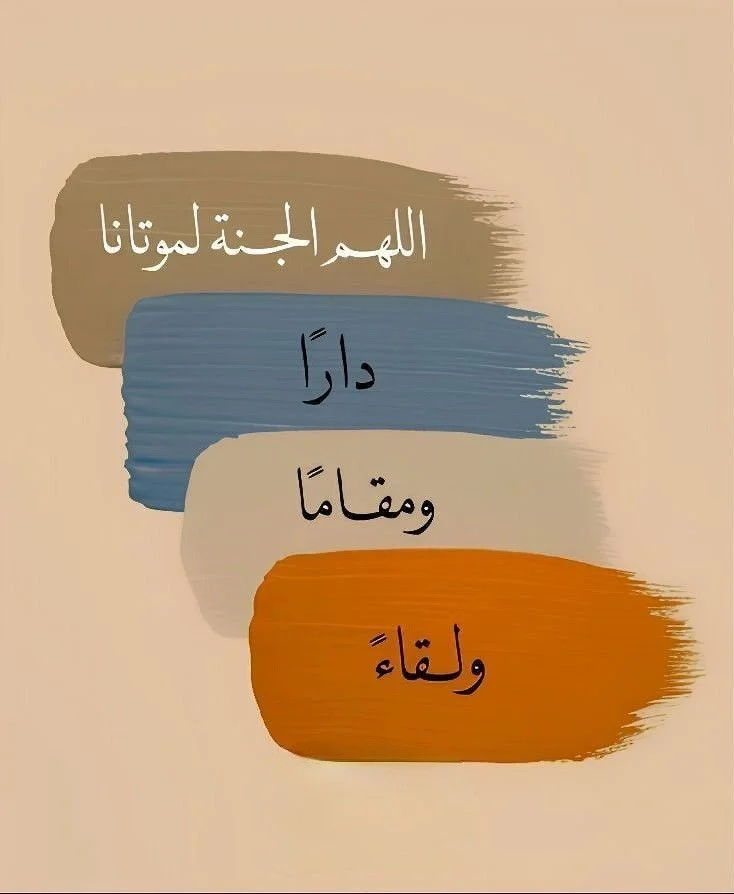 33.webp