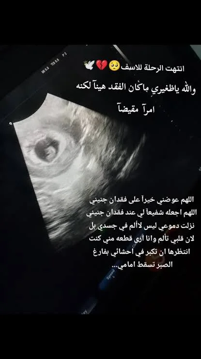 1783801843510.webp
