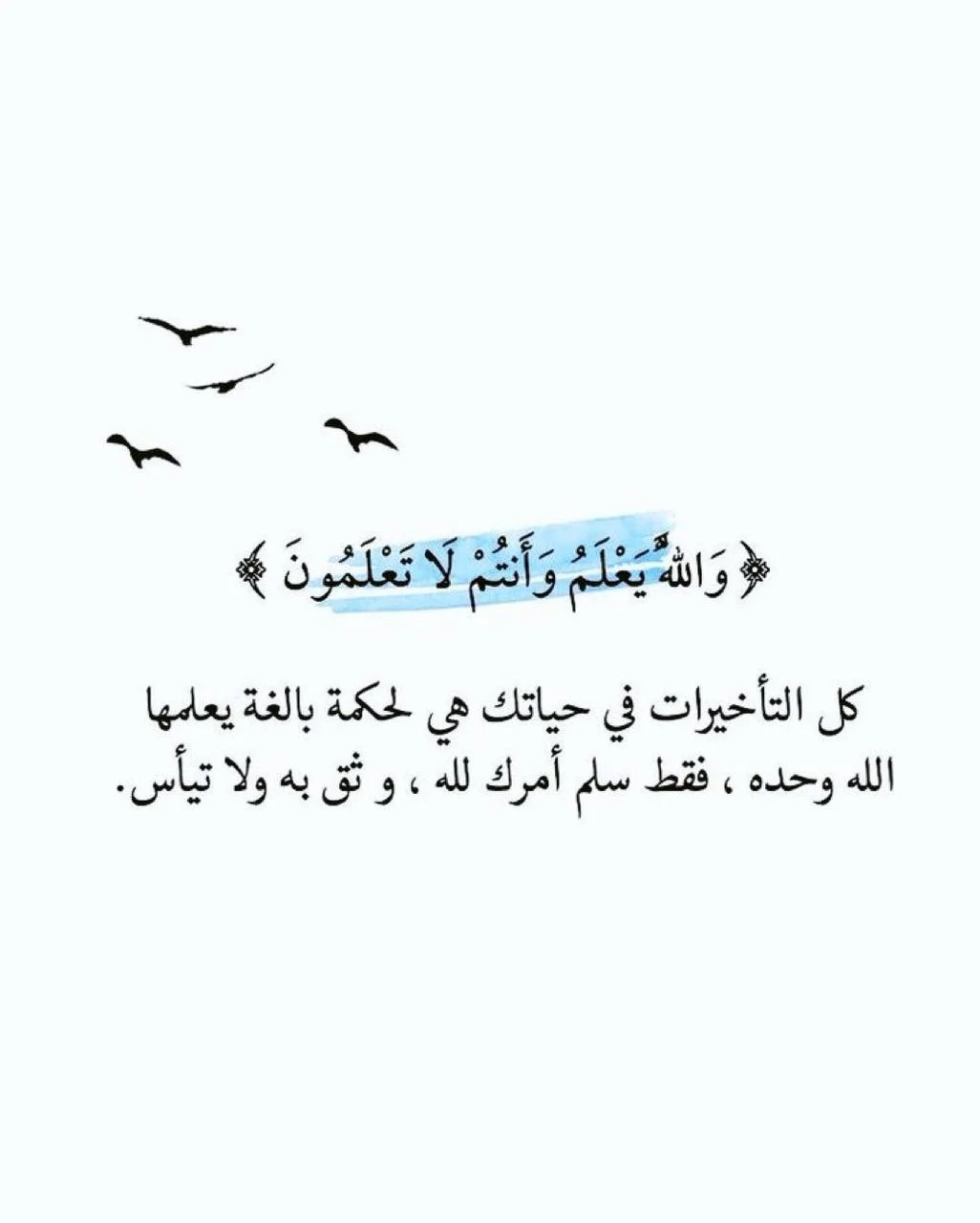1783875194615.webp