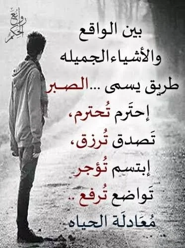 1783880627611.webp