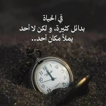 1783880813372.webp