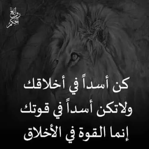 1783885185852.webp