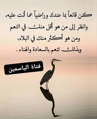 1783950174324.webp