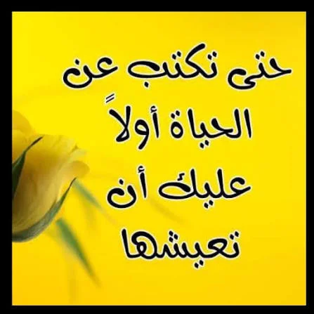 1783950212931.webp