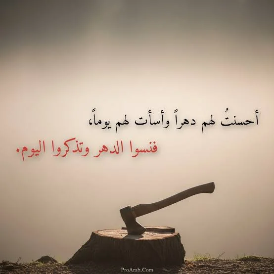 images.webp