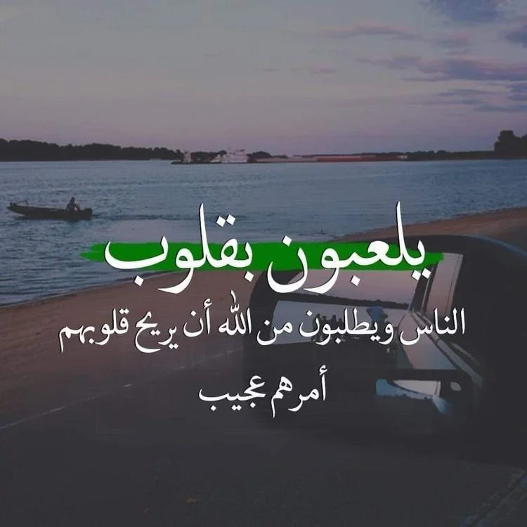 24bc31f67d100a0f835c370e03434ce8.webp