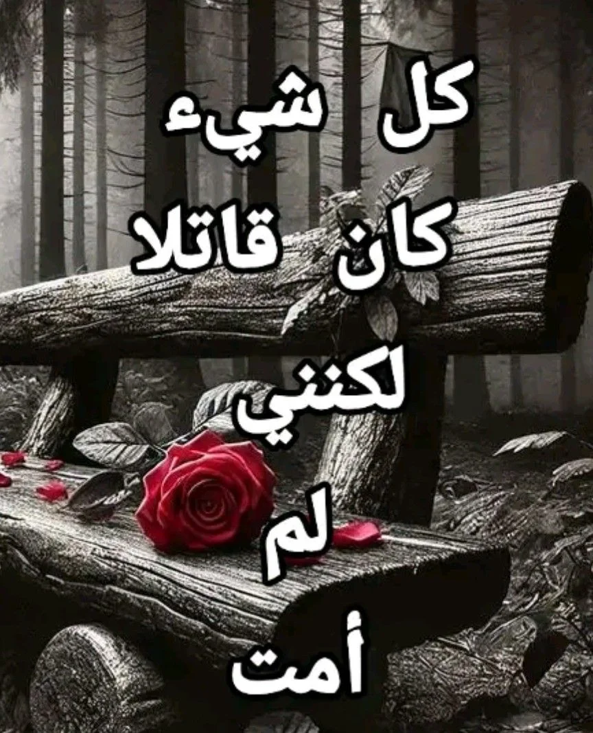c24778bd653f33f7aef609a40db76c2d.webp