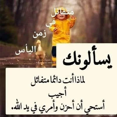 1117.webp