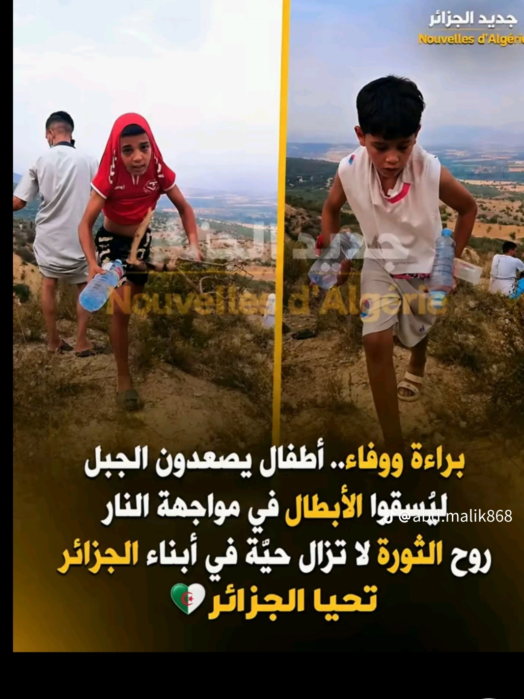 1000056938.webp
