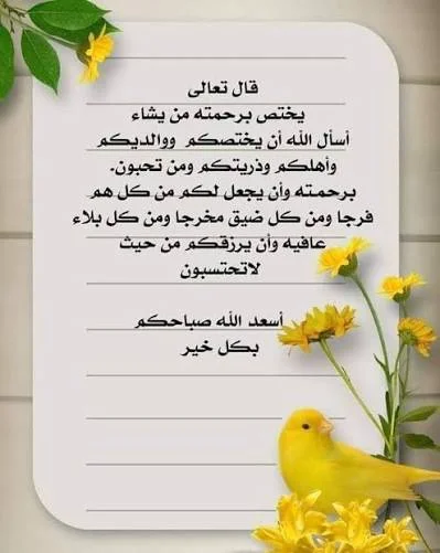 images (4).webp