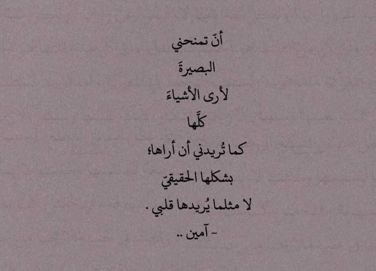 1785846354412.webp