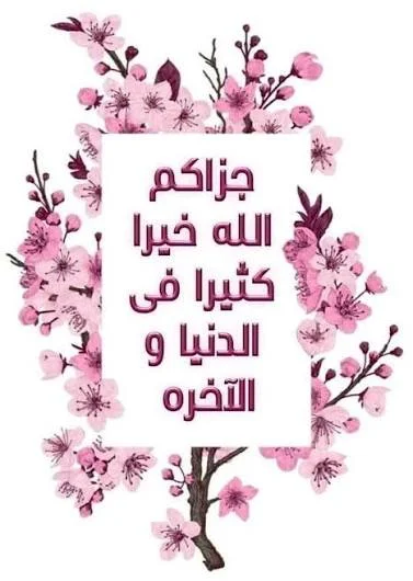 1785932812732.webp