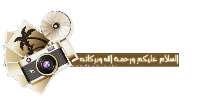 1785936548286.webp
