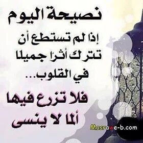 images25.webp