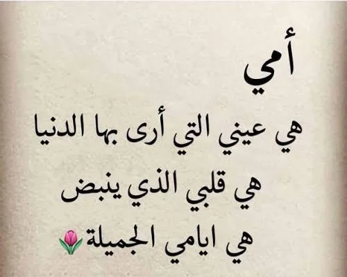 1786111462506.webp