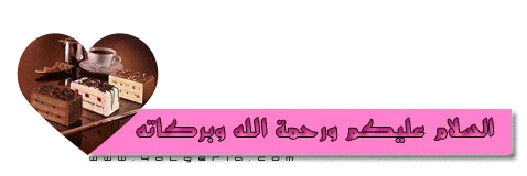 1786113074567.webp