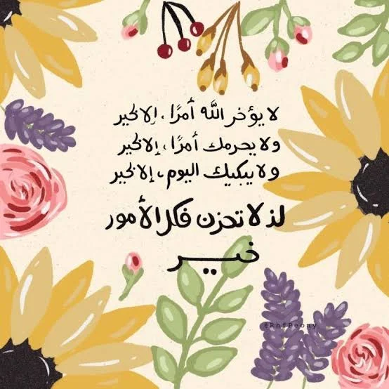 1786195403733.webp