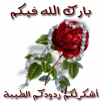 1786218751020.webp