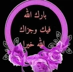 1786221688738.webp
