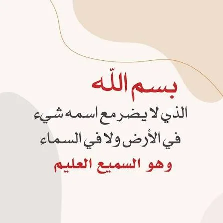 1786227087092.webp