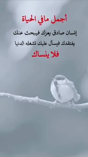 images.webp