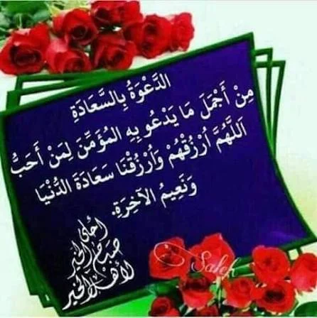 1786276265454.webp