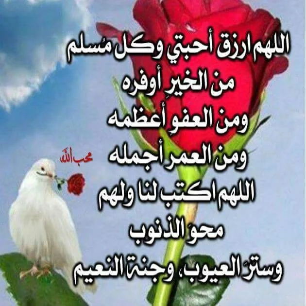 1786277034433.webp