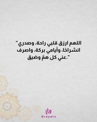 1786277106775.webp