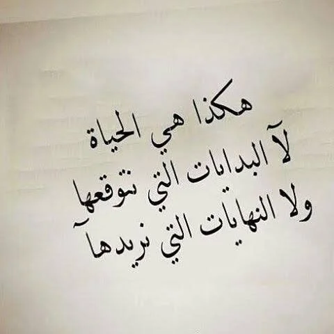 1786385281635.webp