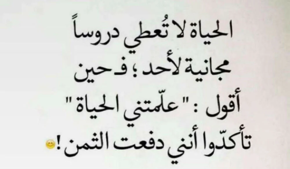 1786385315884.webp