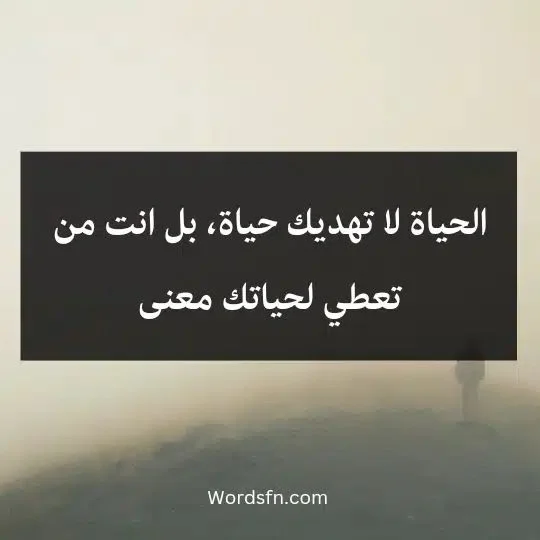 1786385390896.webp