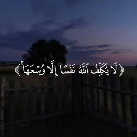1786386385500.webp