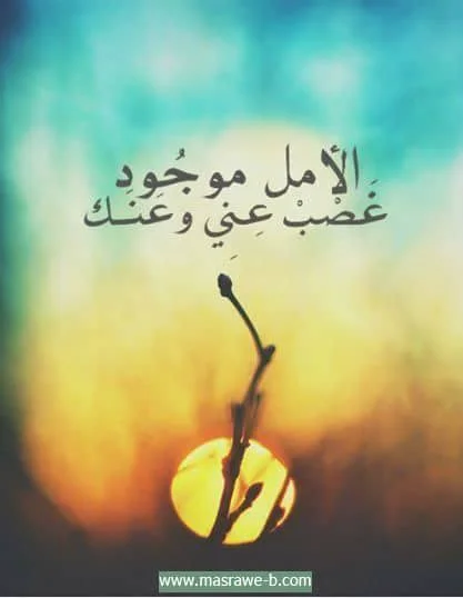 images (5).webp