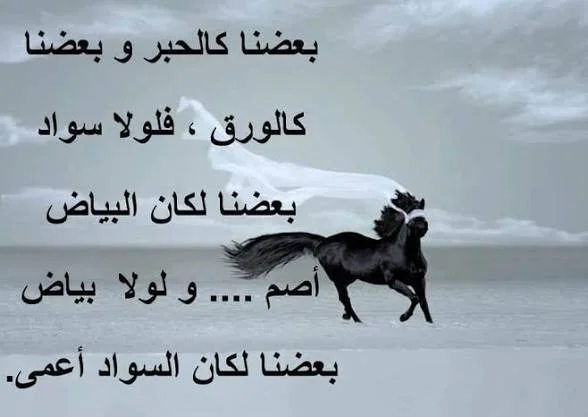 images (6).webp