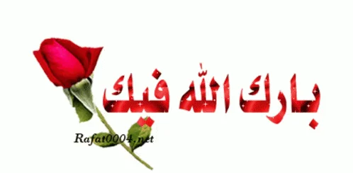 1786484769092.webp