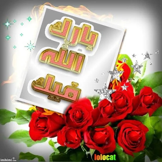 1786484839683.webp