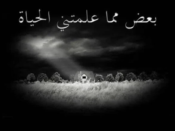 images (2).webp