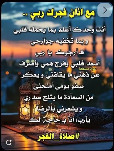 1786618799406.webp