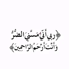 1786737205722.webp