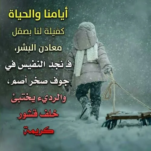 images.webp