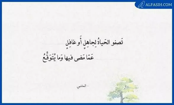 images.webp