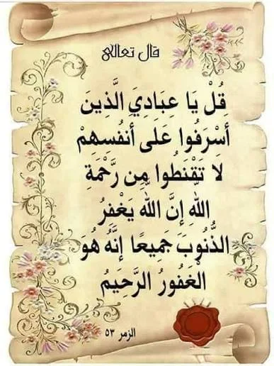 1787066461492.webp