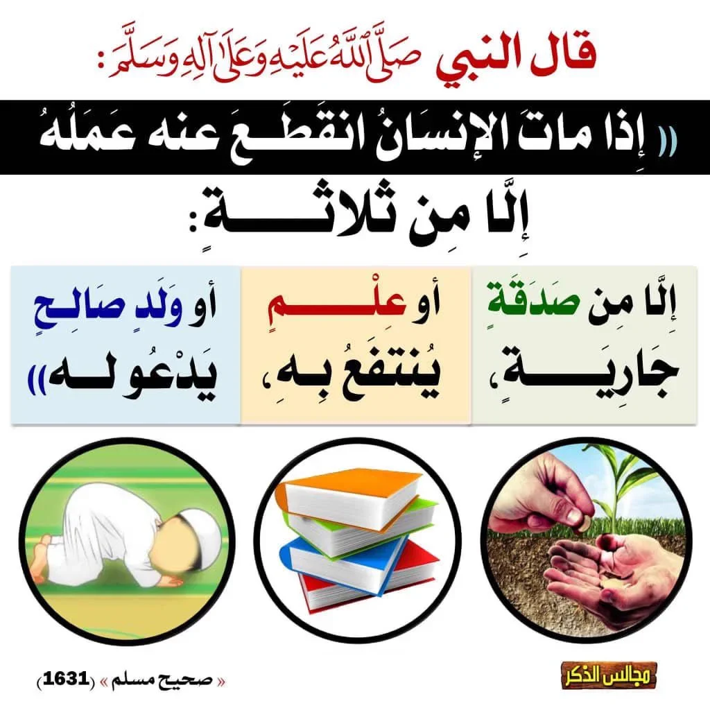 1787066865207.webp