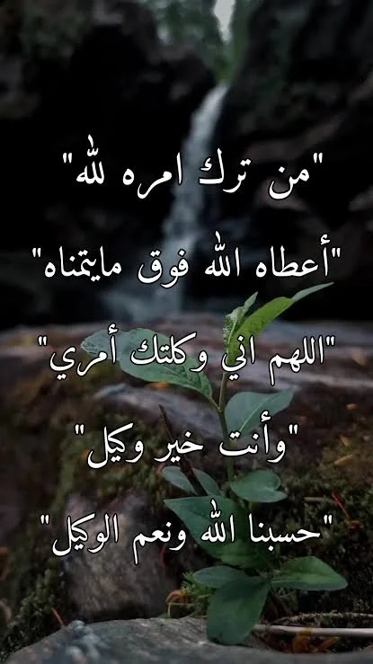 1787076259574.webp