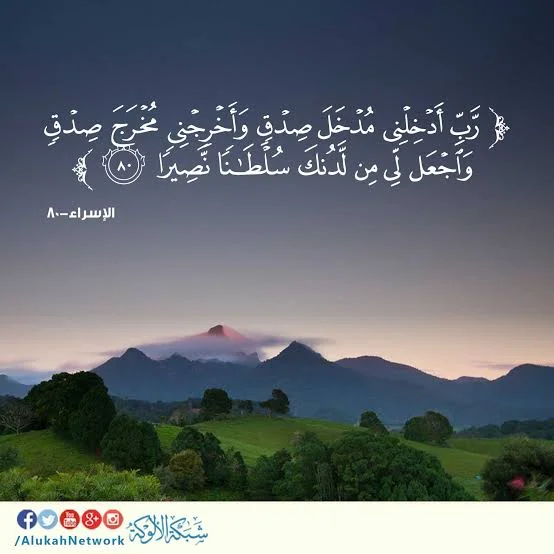 1787076899010.webp