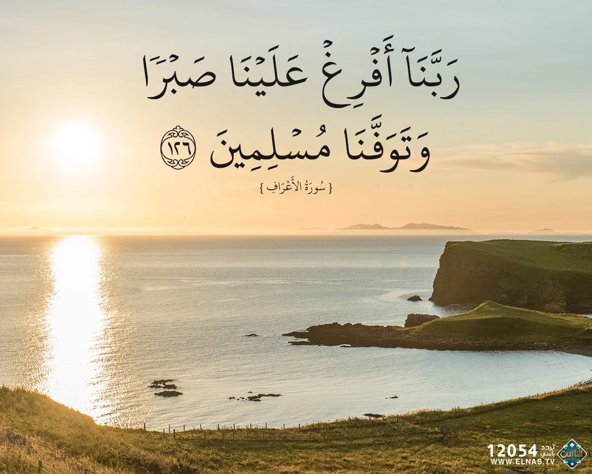 1787076972125.webp