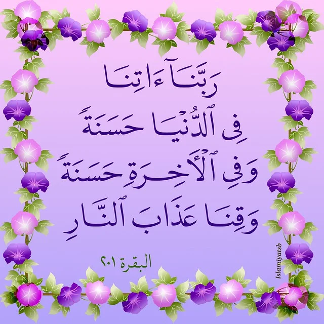 1787077081056.webp