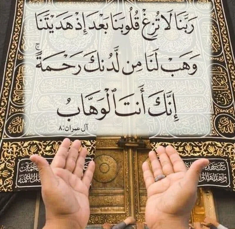 1787077126535.webp