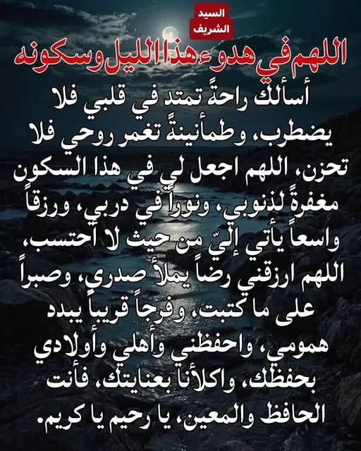 1787079484080.webp